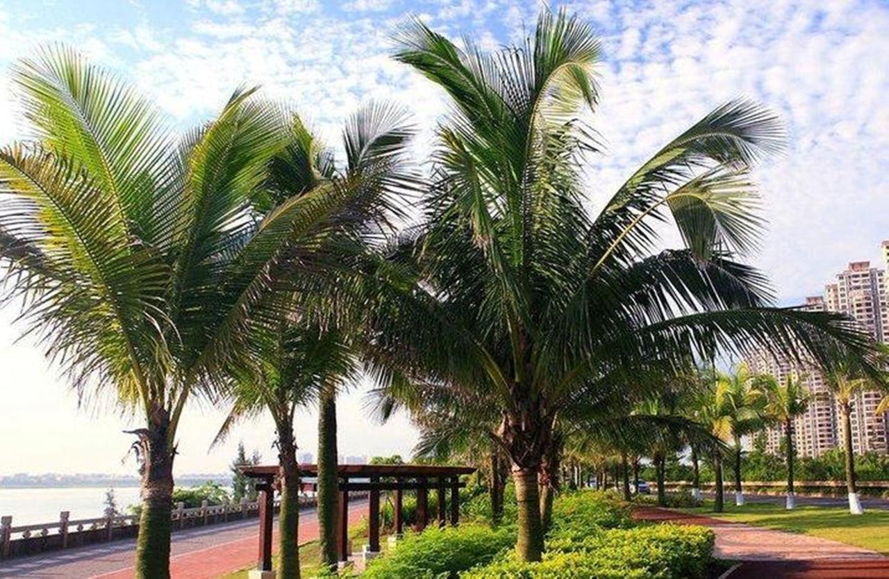Haikou Tianyi International Hotel 外观 照片